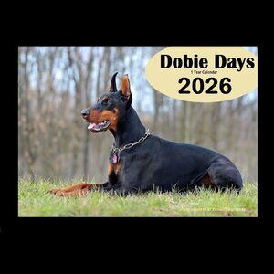 Doberman Calendar 2026 Doberman Pinscher Wall Calendar Dobie Calendar